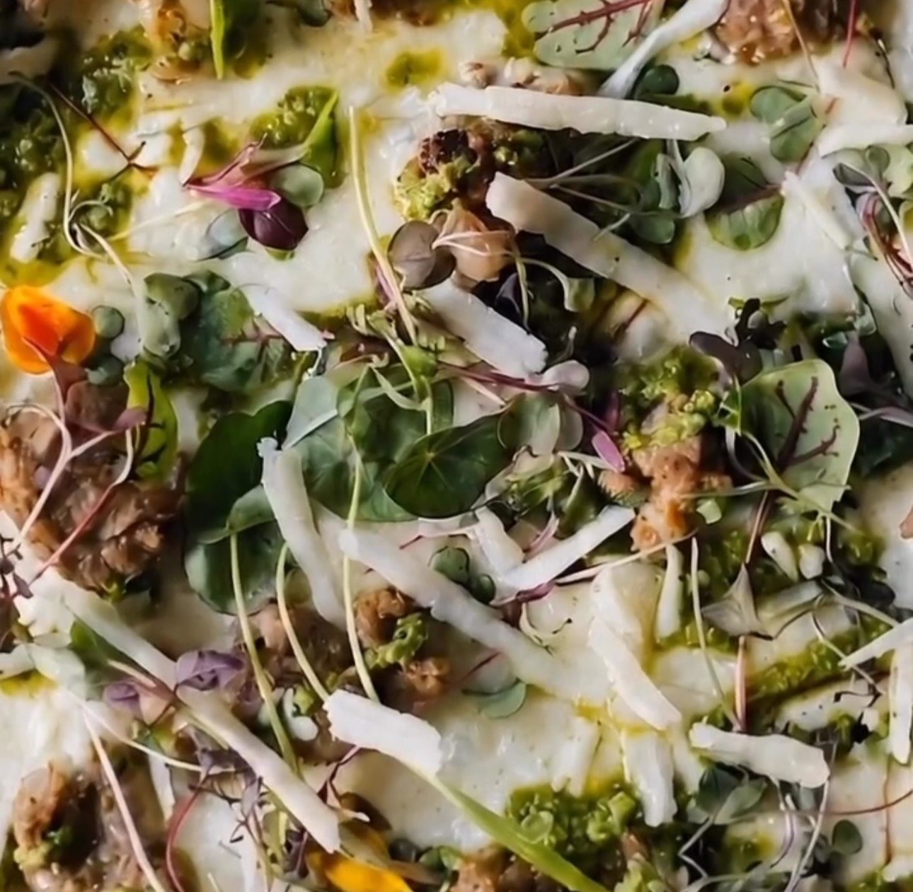 Pizza con erbe e germogli